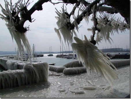 swiss ice 6