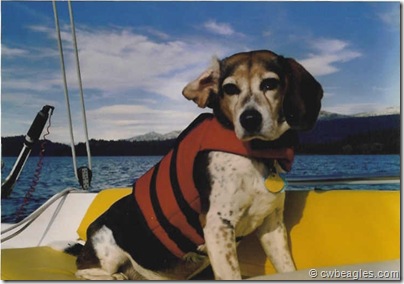 abbyboat