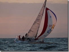 Tojana Zalciu karaliene 2008