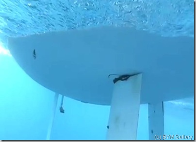 Portimao-global-underwater